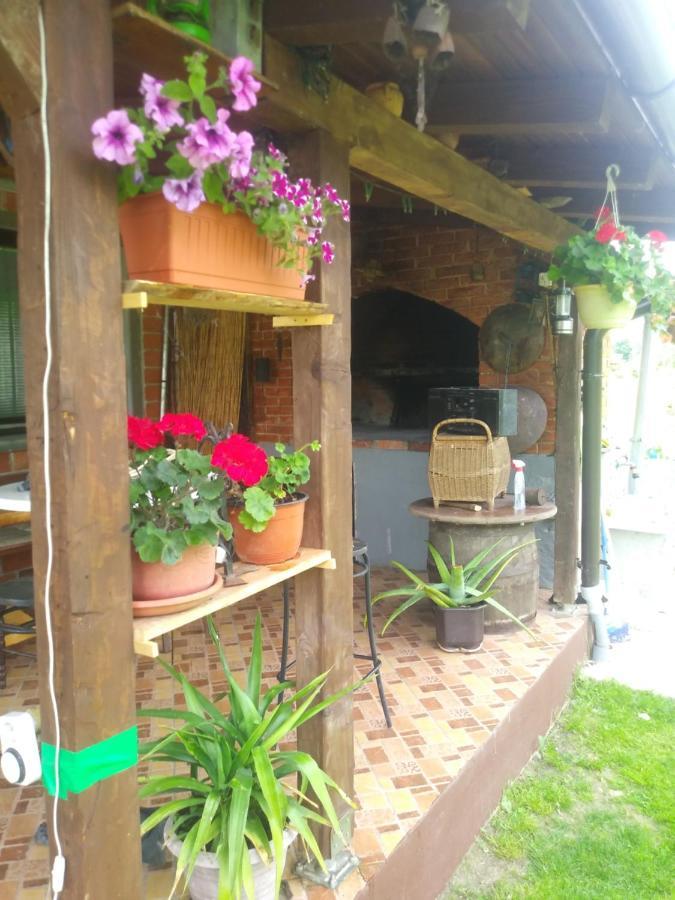 Ribarska Vila Donje Lohovo Bagian luar foto