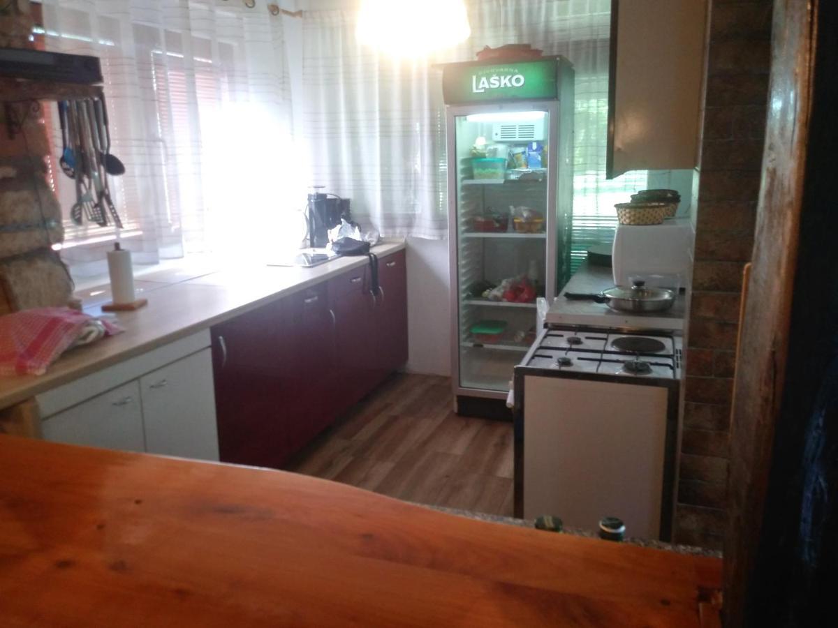 Ribarska Vila Donje Lohovo Bagian luar foto